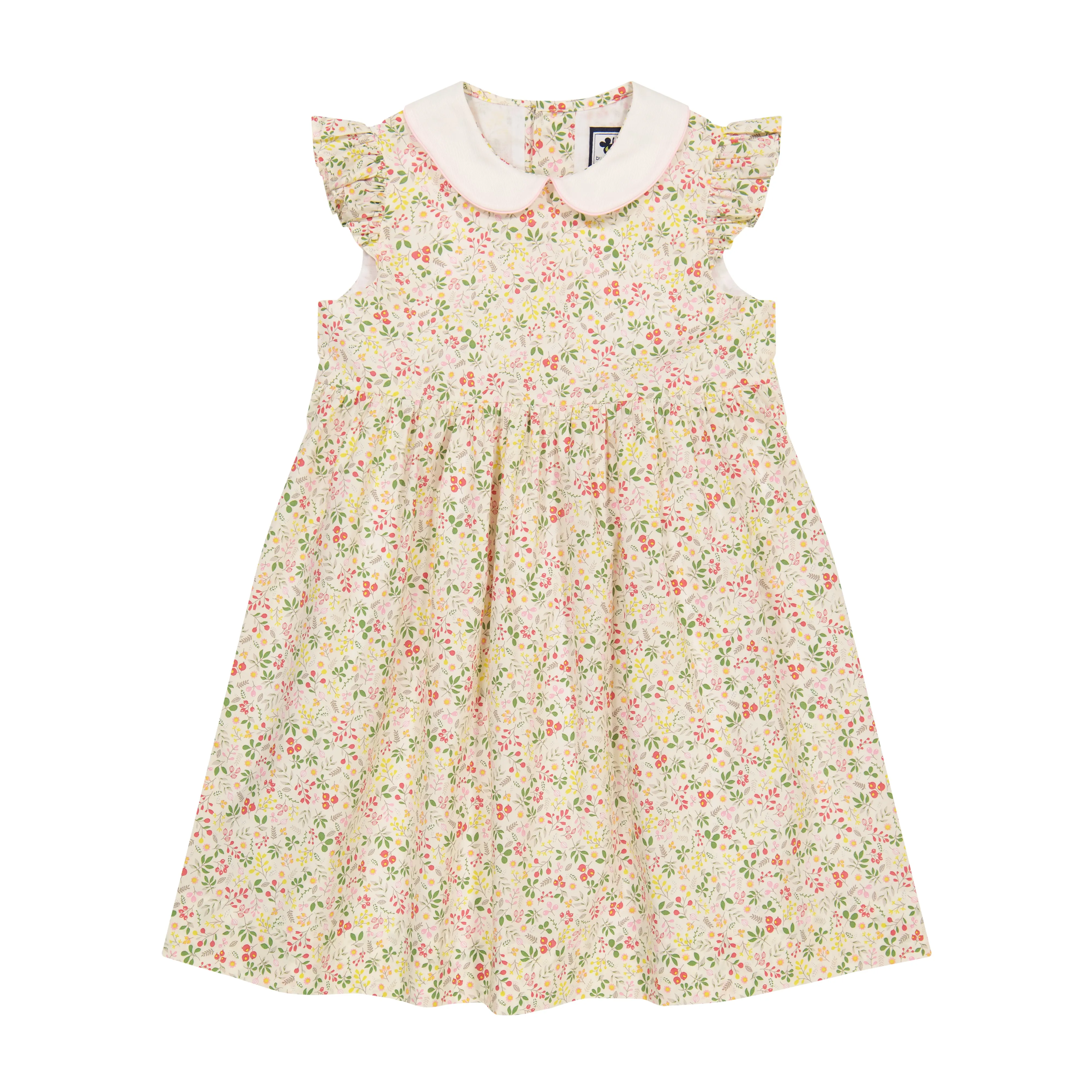 Riley Peter Pan Collar Dress Flora